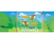 Play Squirrels