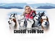 Play Antarctic guide