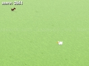 Play Pasture panic