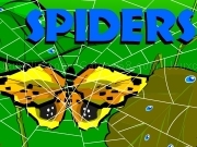 Play Spiders