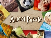 Play Anima puzzle
