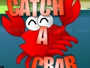 Play Catch a crab