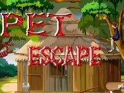 Play Pet escape