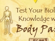 Play Test your biology knowledge with body parts
