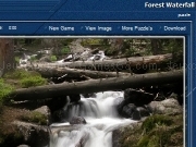 Play Forest waterfall