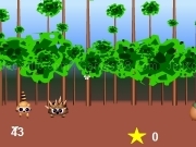 Play Raton laveur