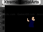 Play Xtreme martial arts