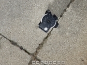 Play Panoramic