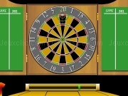 Play Pro darts