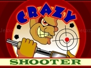 Play Crazy shooter