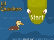 Play Lil quackers