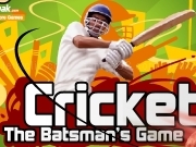 Play Cricket - the batsmans game