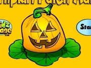 Play Pumpkin patch match