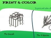 Play Print and color - succah and 4 species