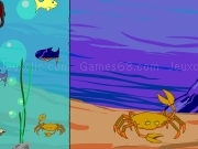 Play Fish in sea decoration
