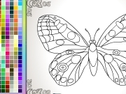 Play Butterfly coloring