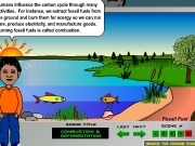 Play Carbon cycle movie