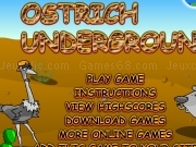 Play Ostrich underground