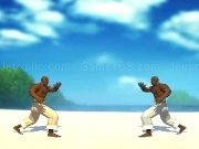 Play Capoeira fighter 1