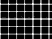 Play Optical illusions