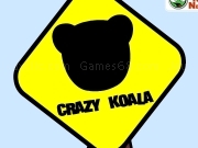 Play Crazy koala