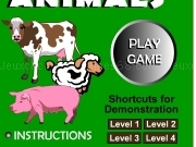 Play Herd the animals