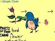 Play The food chain