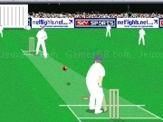 Play World cricket challenge