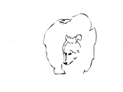 Play How to draw a bear