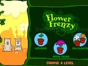 Play Flower frenzy