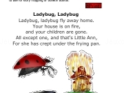 Play Ladybug lady bug print