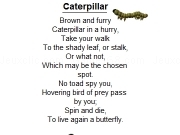 Play Caterpillar
