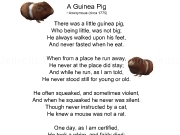 Play A guinea pig