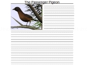 Play The passenger pigeon letter