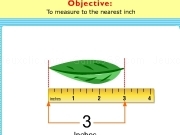 Play Measure to the nearest inch