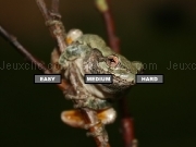 Play Gray Treefrog Jigsaw