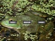 Play Bullfrog Jigsaw