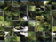 Play Stony creek puzzle