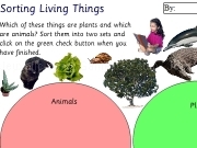 Play Sorting living things