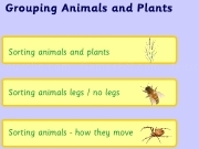 Play Grouping animals and plants