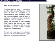 Play Biosphere what is it