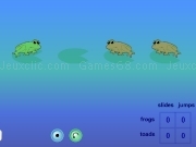 Play Frogs