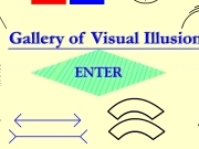 Play Visual illusion gallery
