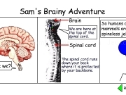 Play Sams brainy adventure 3