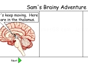 Play Sams brainy adventure 4