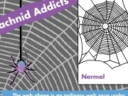 Play Arachnid addicts normal
