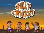 Play Gully cricket