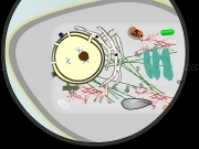 Play The cell
