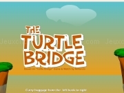 Play Turtle bridge