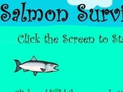 Play Salmon